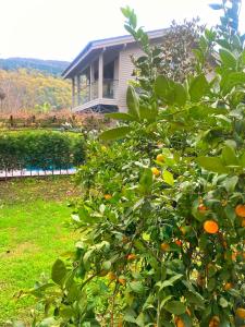 villa kirkpinar sapanca
