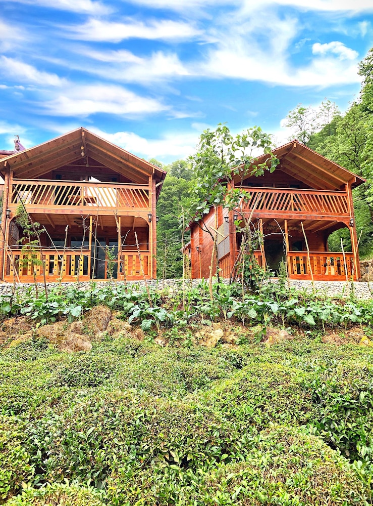 tanura bungalows