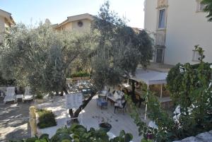 hotel dionysia