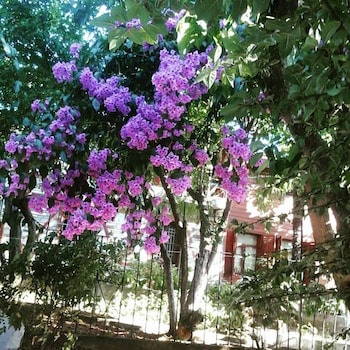 adalar