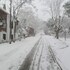 adalar