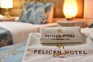 pelican house hotel