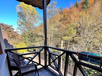 abant dort mevsim konagi