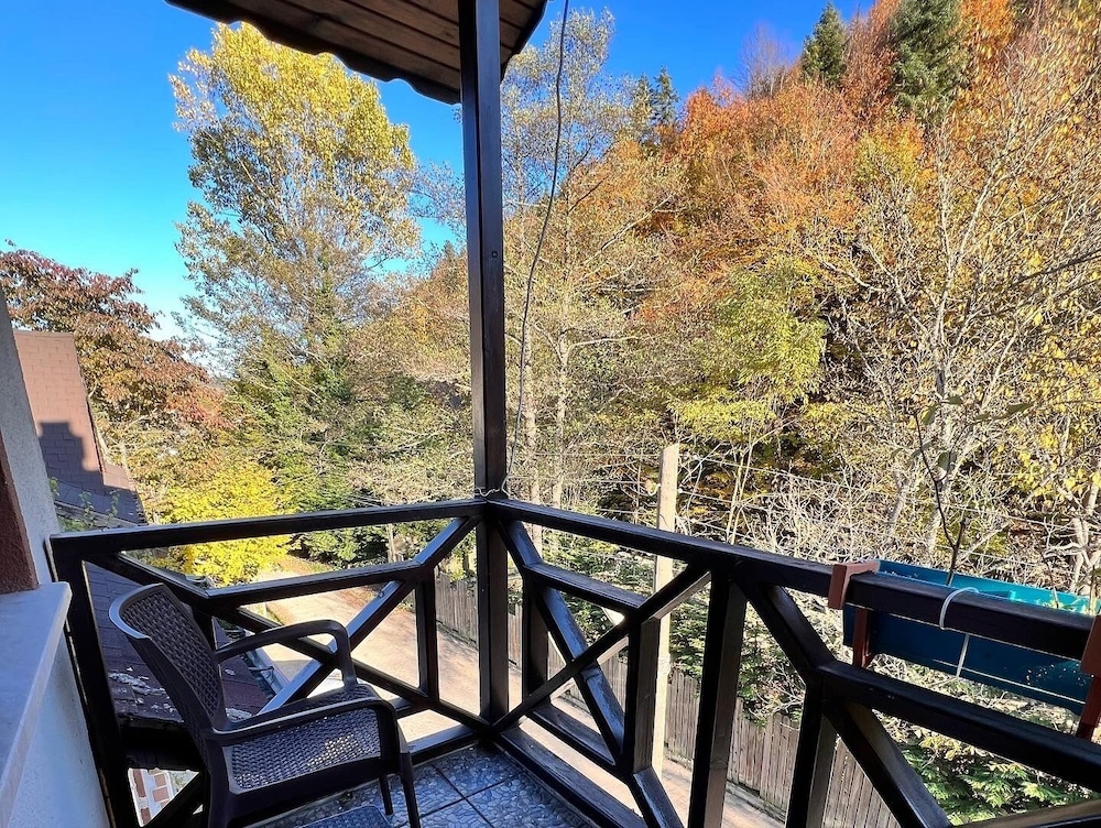 abant dort mevsim konagi