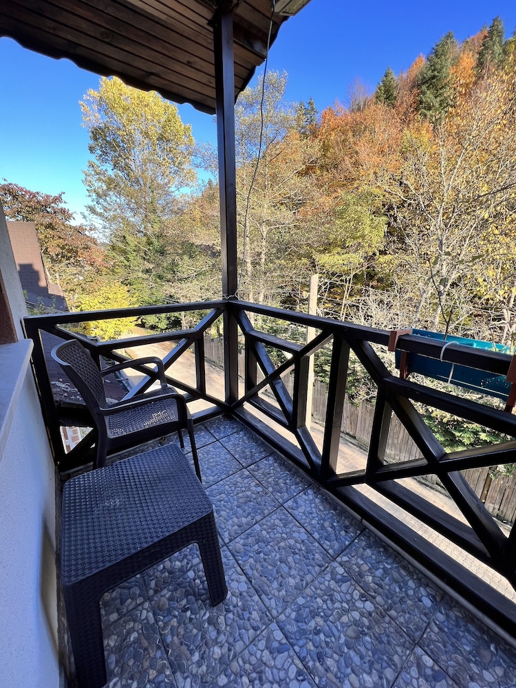 abant dort mevsim konagi