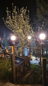 bolu