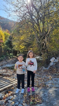 abant dort mevsim konagi