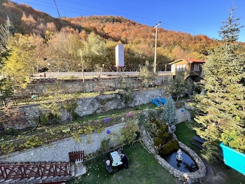 bolu