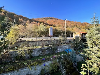 bolu