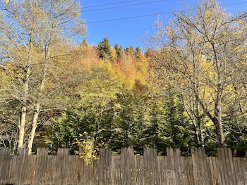 bolu