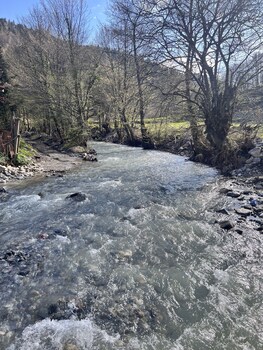 bolu