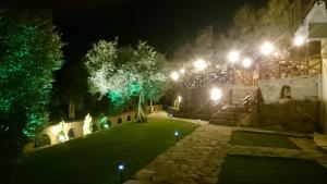 selcuk