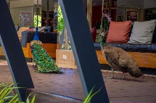 Natural Park Resort,Jomtien Beach>>Jomtien,4 star