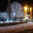bolu