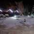 bolu
