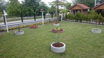 bolu