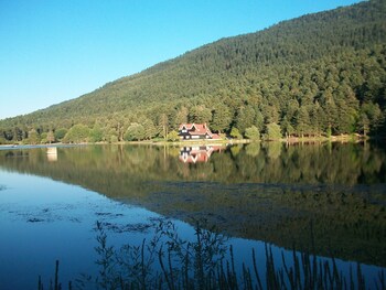 bolu