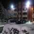 bolu