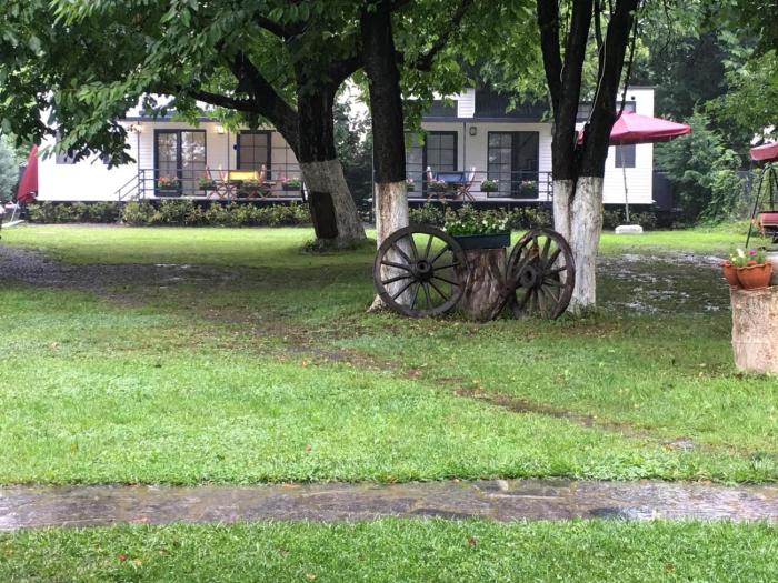 aslibey konagi adults only