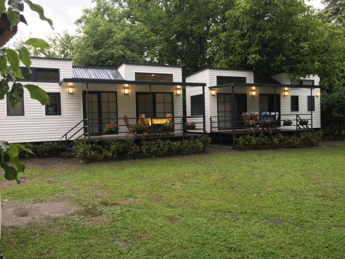 aslibey konagi adults only