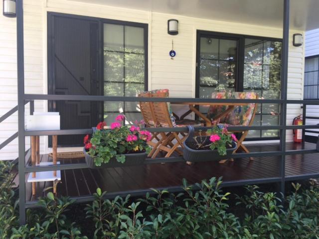 aslibey konagi adults only