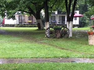 aslibey konagi adults only