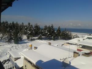 trabzon