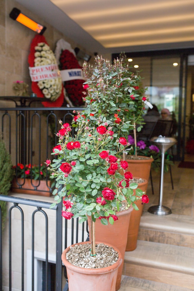 the white orient hotel