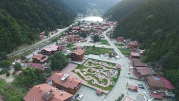 nova uzungol