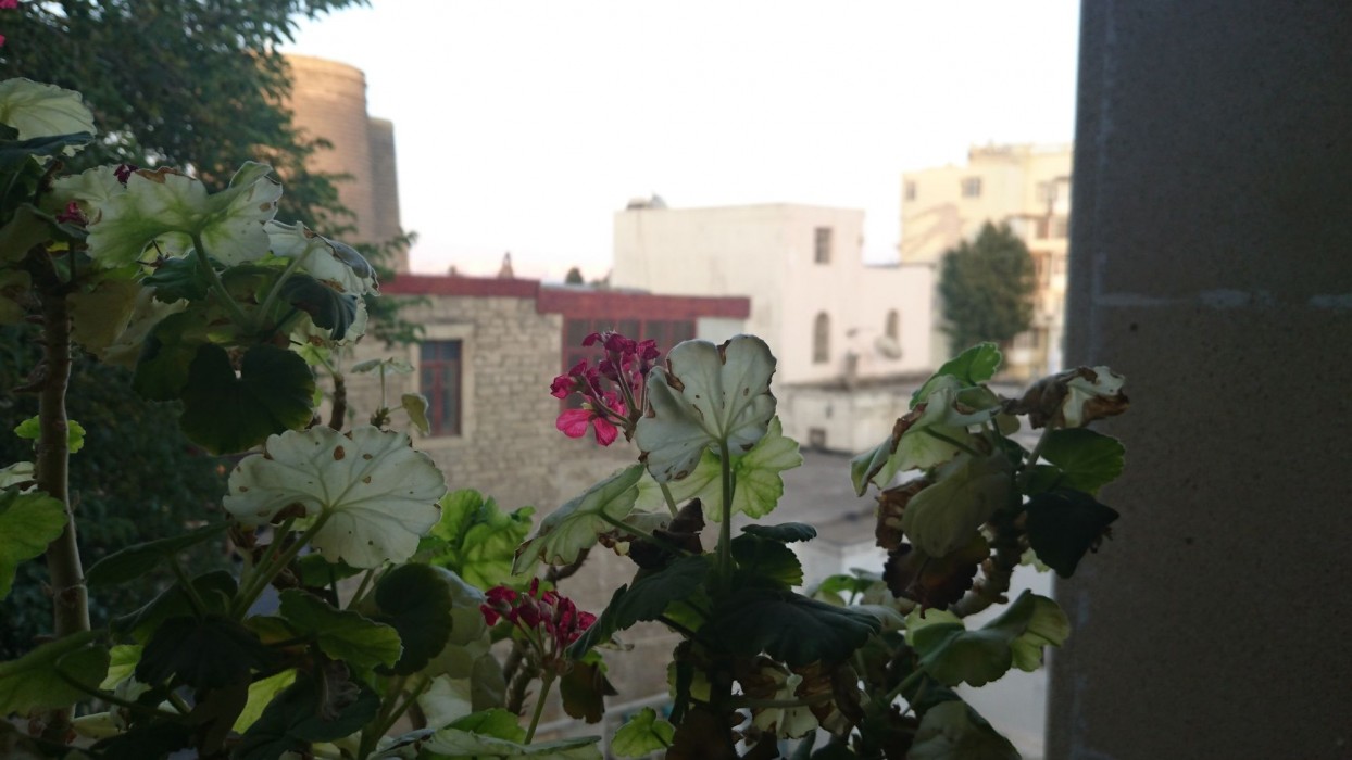 deniz inn boutique hotel