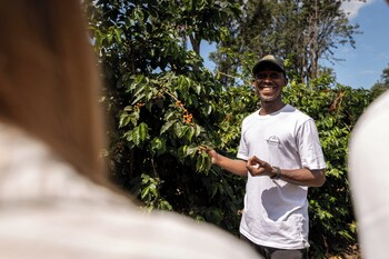 utengule coffee lodge