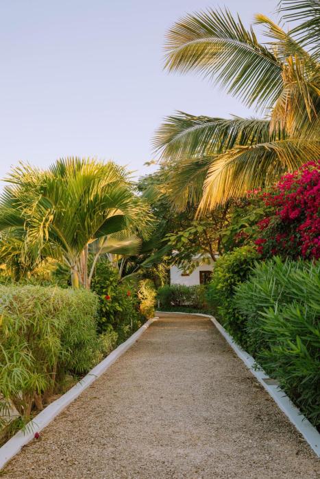 white paradise zanzibar