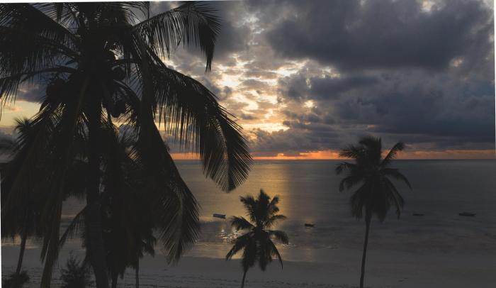 white paradise zanzibar