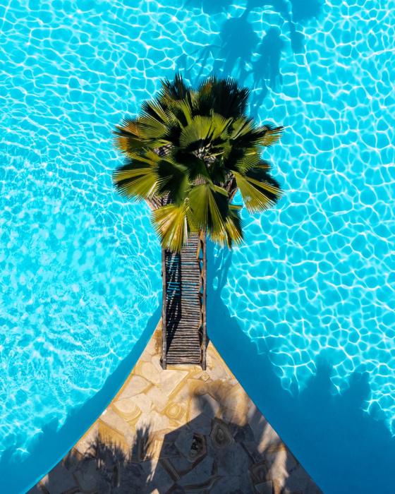 white paradise zanzibar