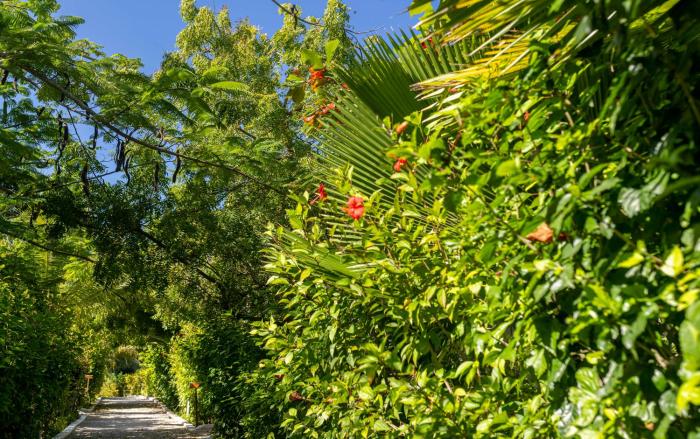 white paradise zanzibar