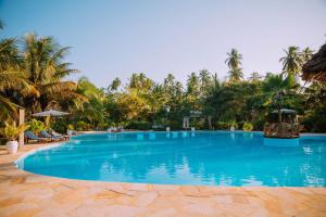 white paradise zanzibar