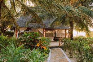 white paradise zanzibar