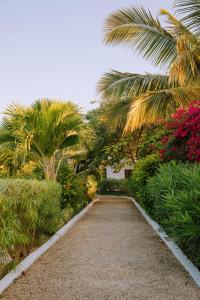 white paradise zanzibar