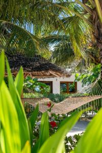 white paradise zanzibar