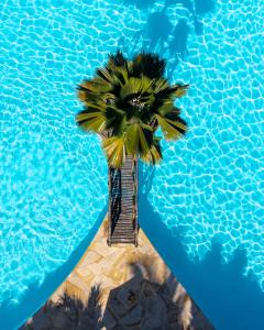 white paradise zanzibar