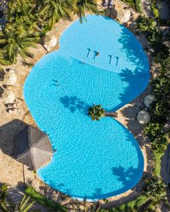 white paradise zanzibar