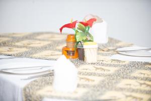 arusha giraffe lodge