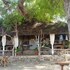 mikumi wilderness camp