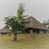 mikumi wilderness camp
