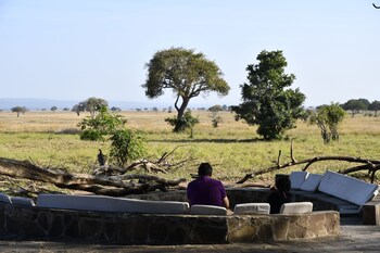 mikumi wilderness camp