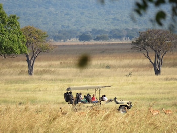 mikumi wilderness camp
