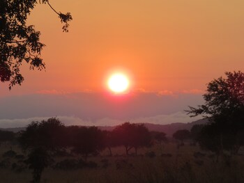 mikumi wilderness camp