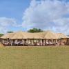 one nature nyaruswiga serengeti
