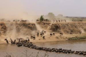 gnu mara river camp