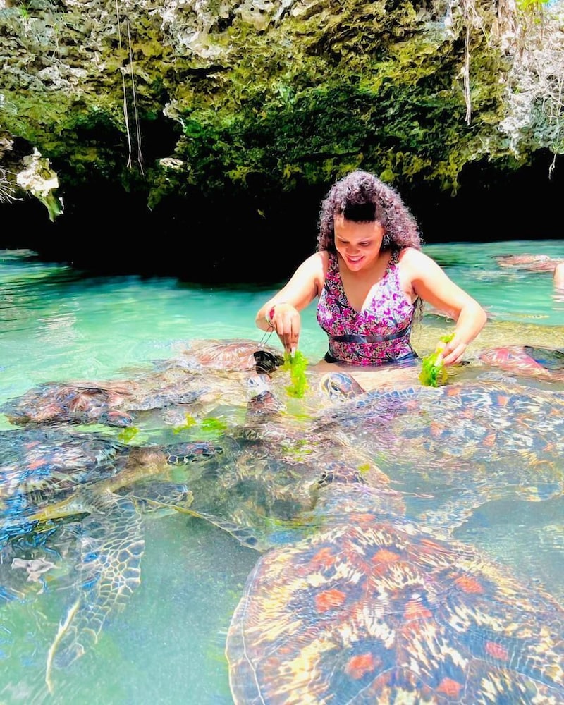 baraka aquarium bungalows